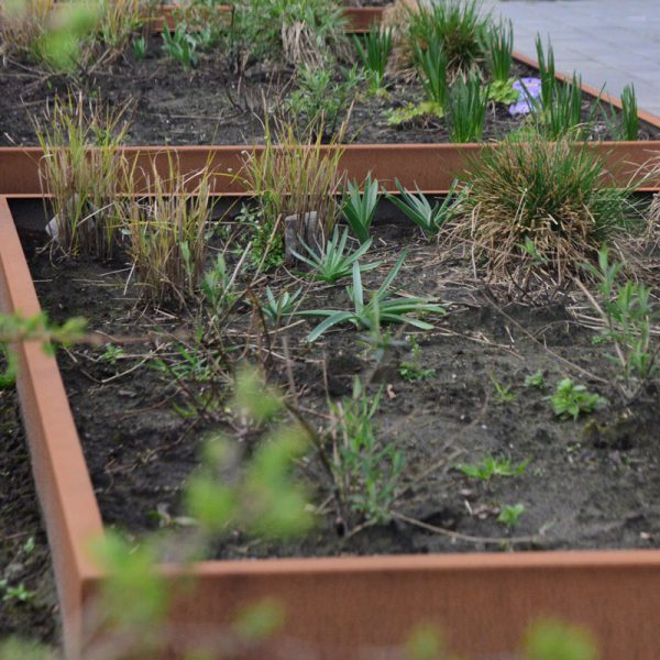 Magma Corten Stalen Tuinbakken