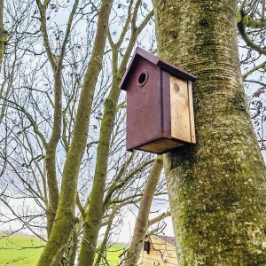 Vogelhuis Nestkastje cortenstaal