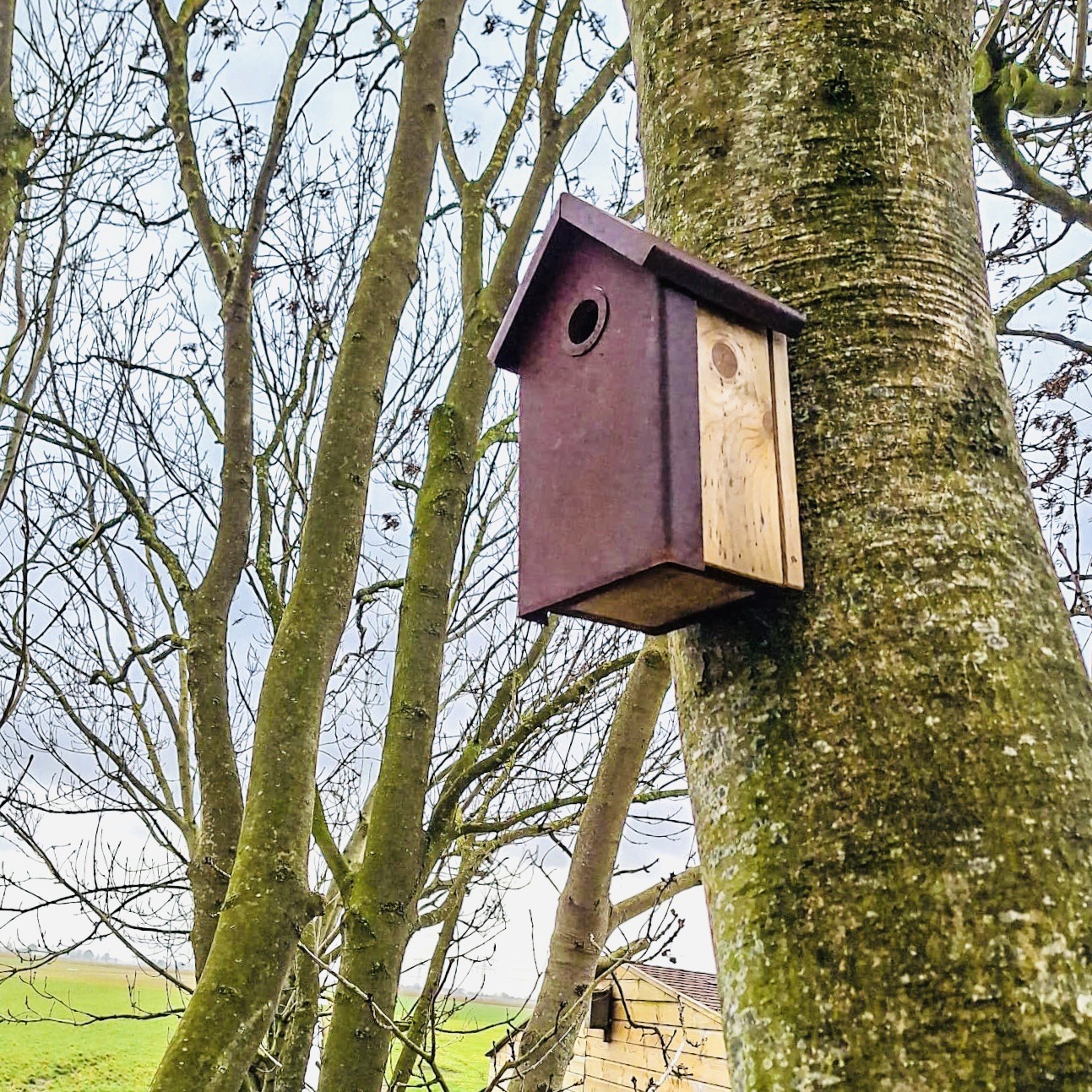Vogelhuis Nestkastje cortenstaal