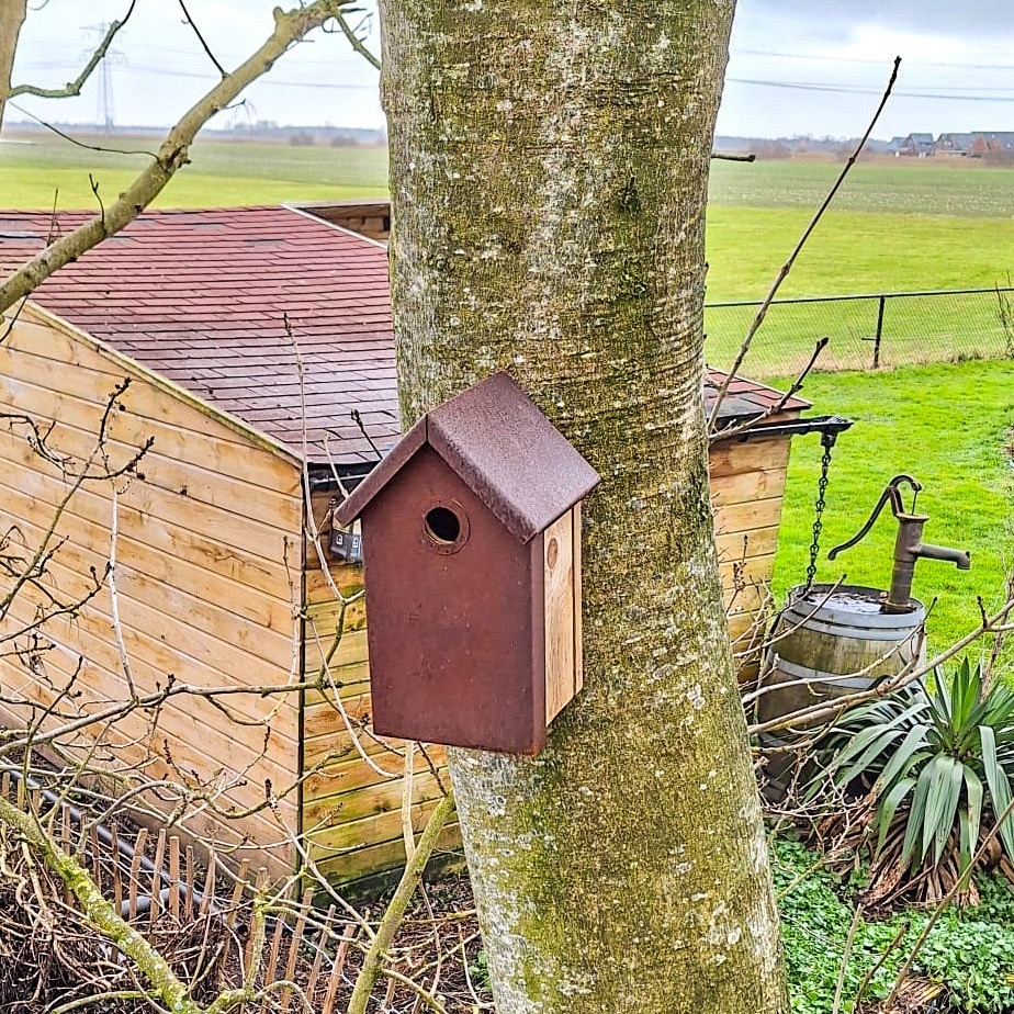 Vogelhuis Nestkastje cortenstaal - Image 3
