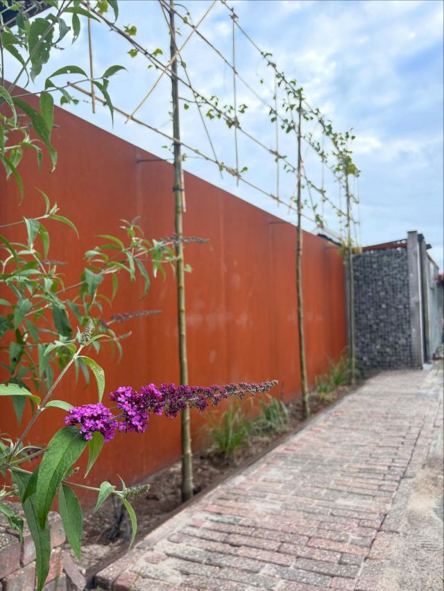 🔥 Hoe vet is deze schutting?! 🔥

Op maat gemaakt van cortenstaal – dat stoere staal dat vanzelf die roestbruine look krijgt. Perfect voor wie z’n tuin nét even anders wil.

Het is stevig, stijlvol en je hebt er bijna geen omkijken naar. 👌
Of je nou privacy zoekt, een strakke tuin wilt of gewoon een eyecatcher… dit is ’m!

📐 Helemaal op maat gemaakt
🌦️ Gaat jarenlang mee
📸 Swipe om de andere kant te zien!

Zin in zoiets in je eigen tuin? Stuur ons gerust een berichtje! 💬